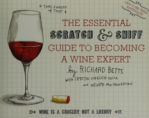 Guia Essencial para se Tornar um Expert em Vinhos