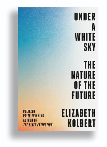Sob um Céu Branco