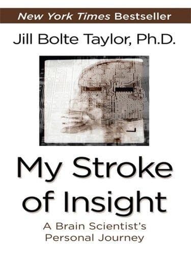 Meu Stroke de Insight