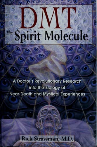 DMT: A Molécula do Espírito