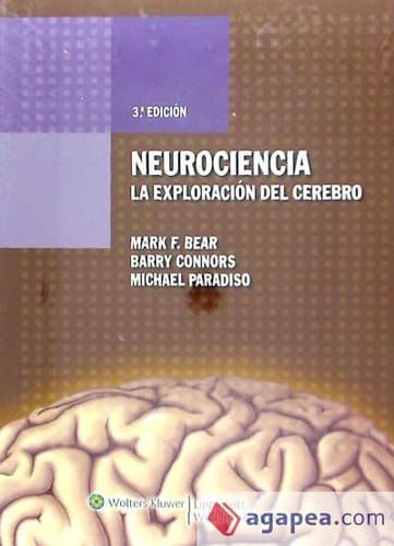 Neurociências: Desvendando o Sistema Nervoso